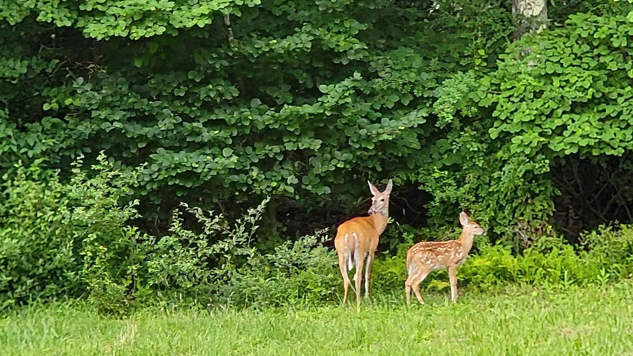 Photo of Others in Friendsville