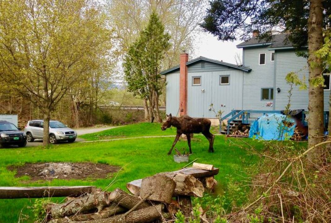 Photo of Outdoor in Stowe