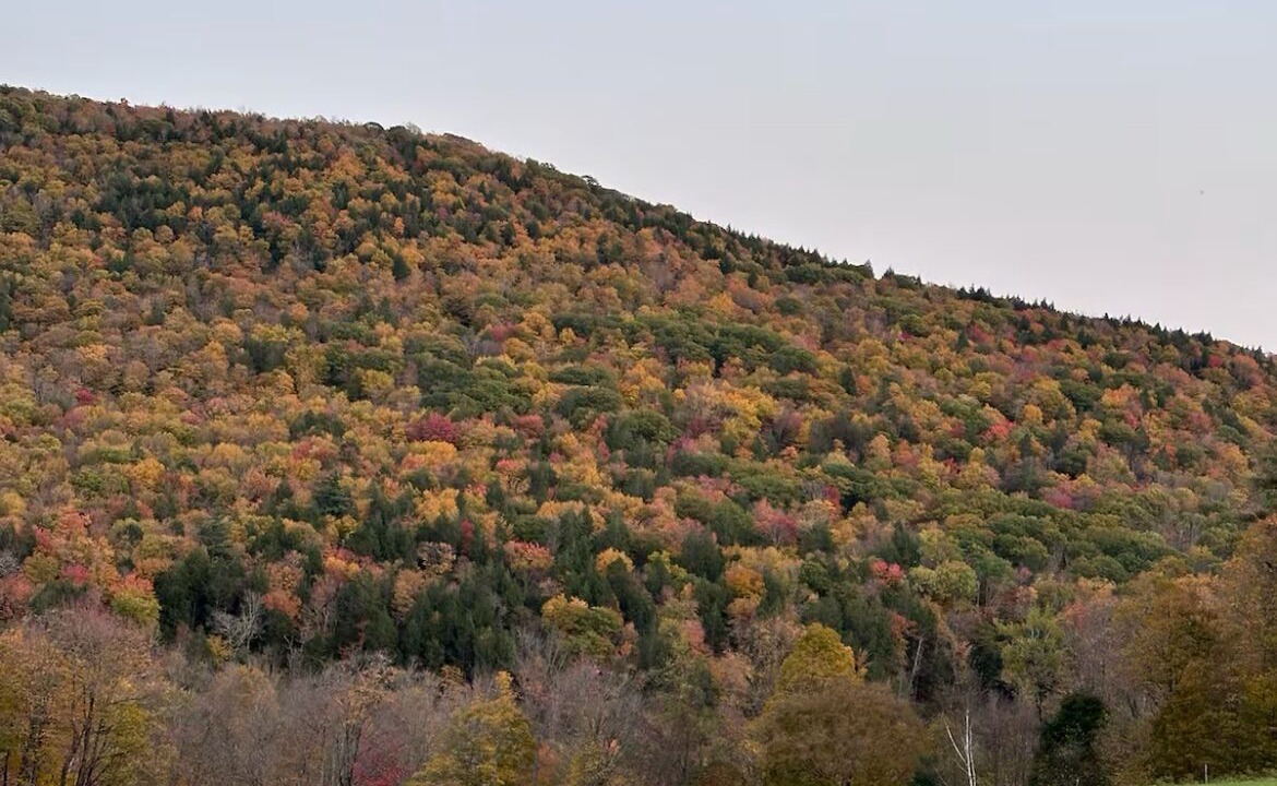 Photo of Others in Hawley