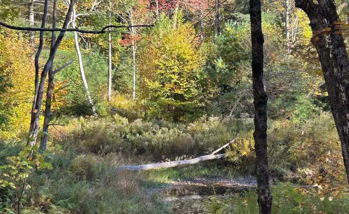 Photo of Others in Hawley