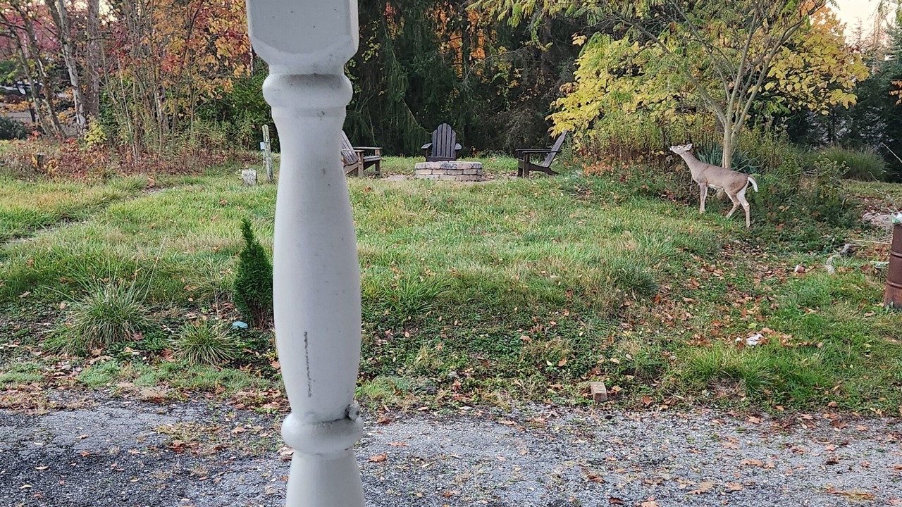 Photo of Outdoor in Wintersville