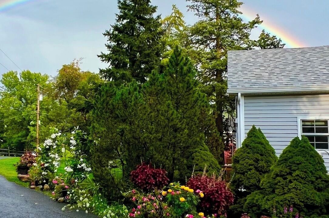 Photo of Outdoor in North Lake George