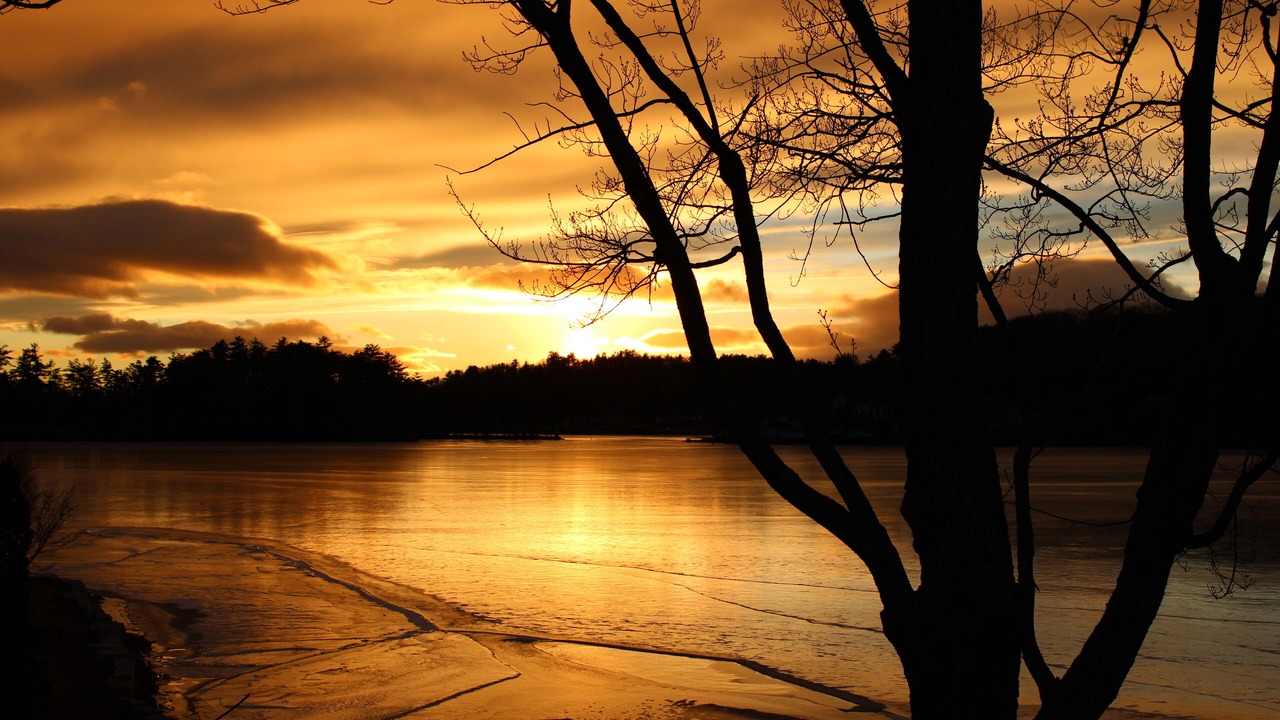 Photo of Others in Lochmere