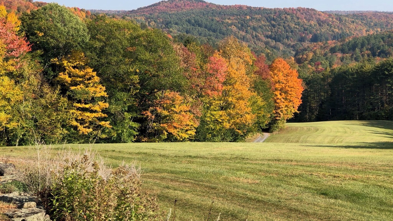 Photo of Others in Bethel