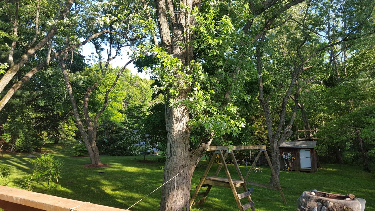 Photo of Outdoor in Lexington