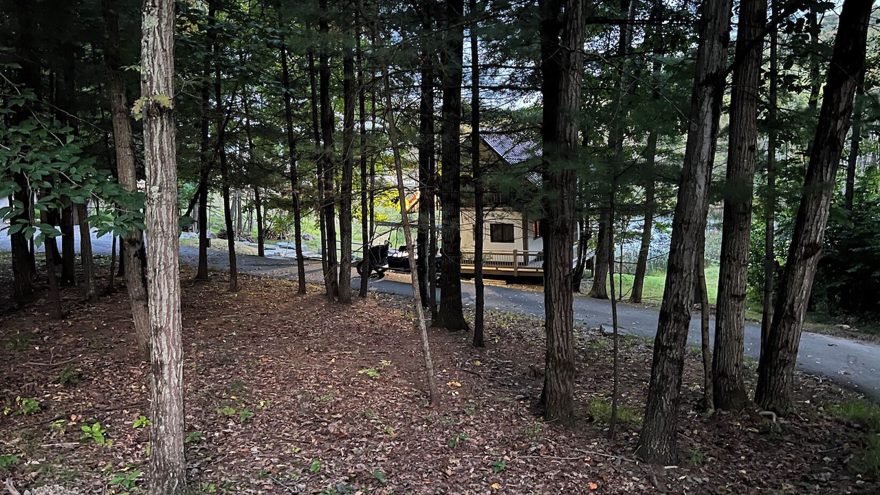 Photo of Outdoor in Vestal