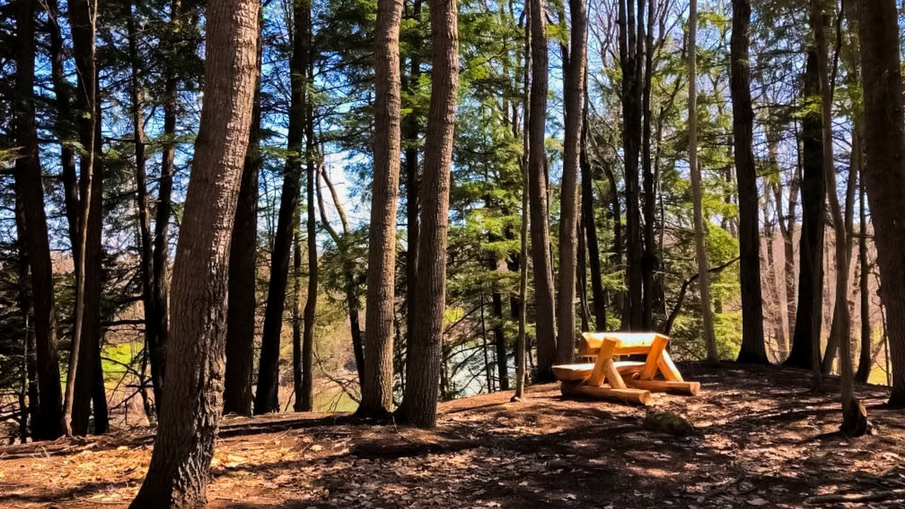 Photo of Outdoor in West Hartford
