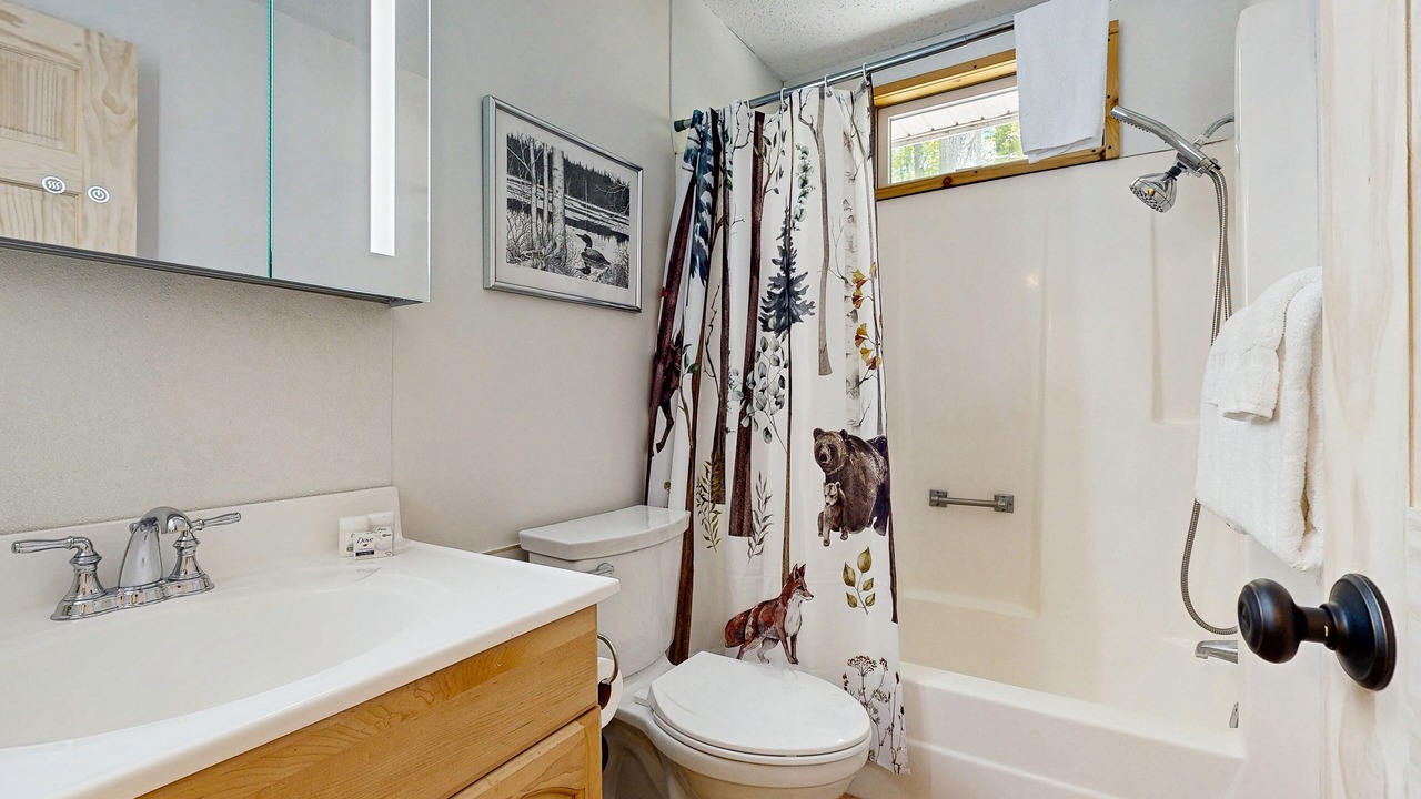 Photo of Bathroom in Moultonborough