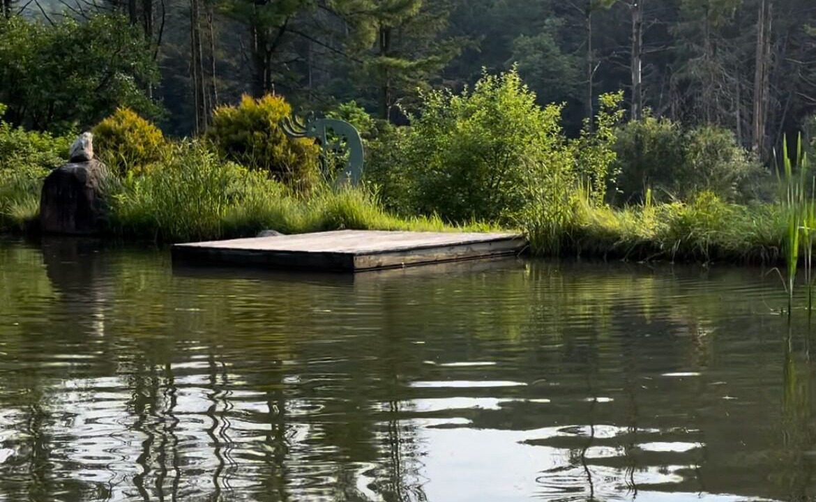 Photo of Outdoor in West Fairlee