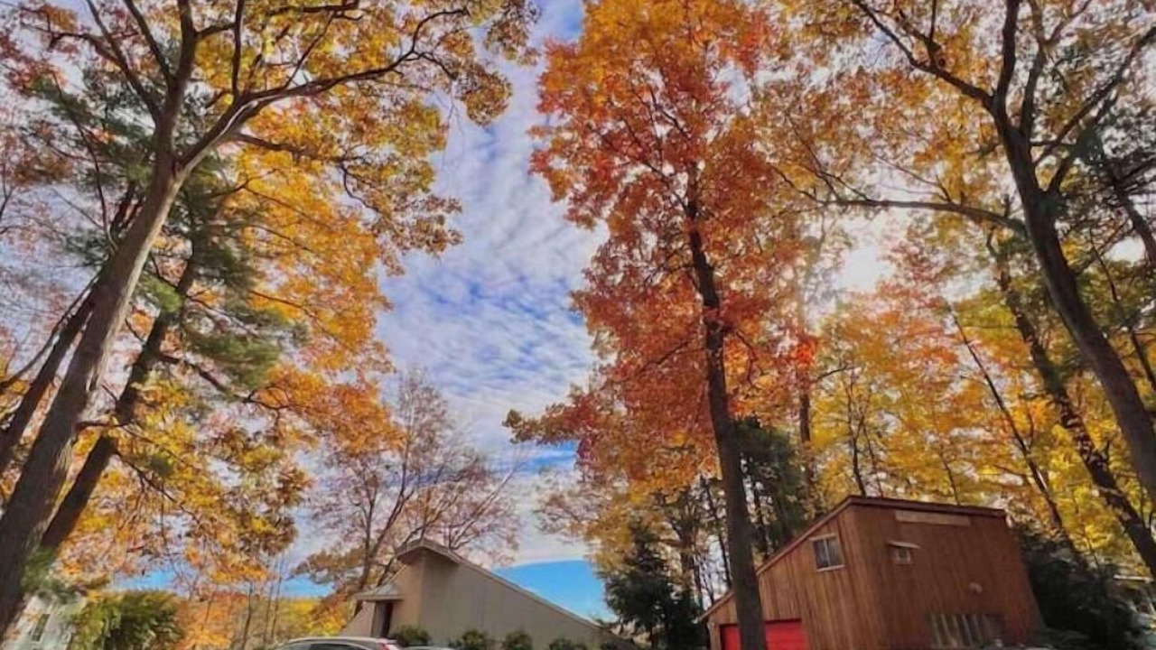 Photo of Outdoor in Merrimack