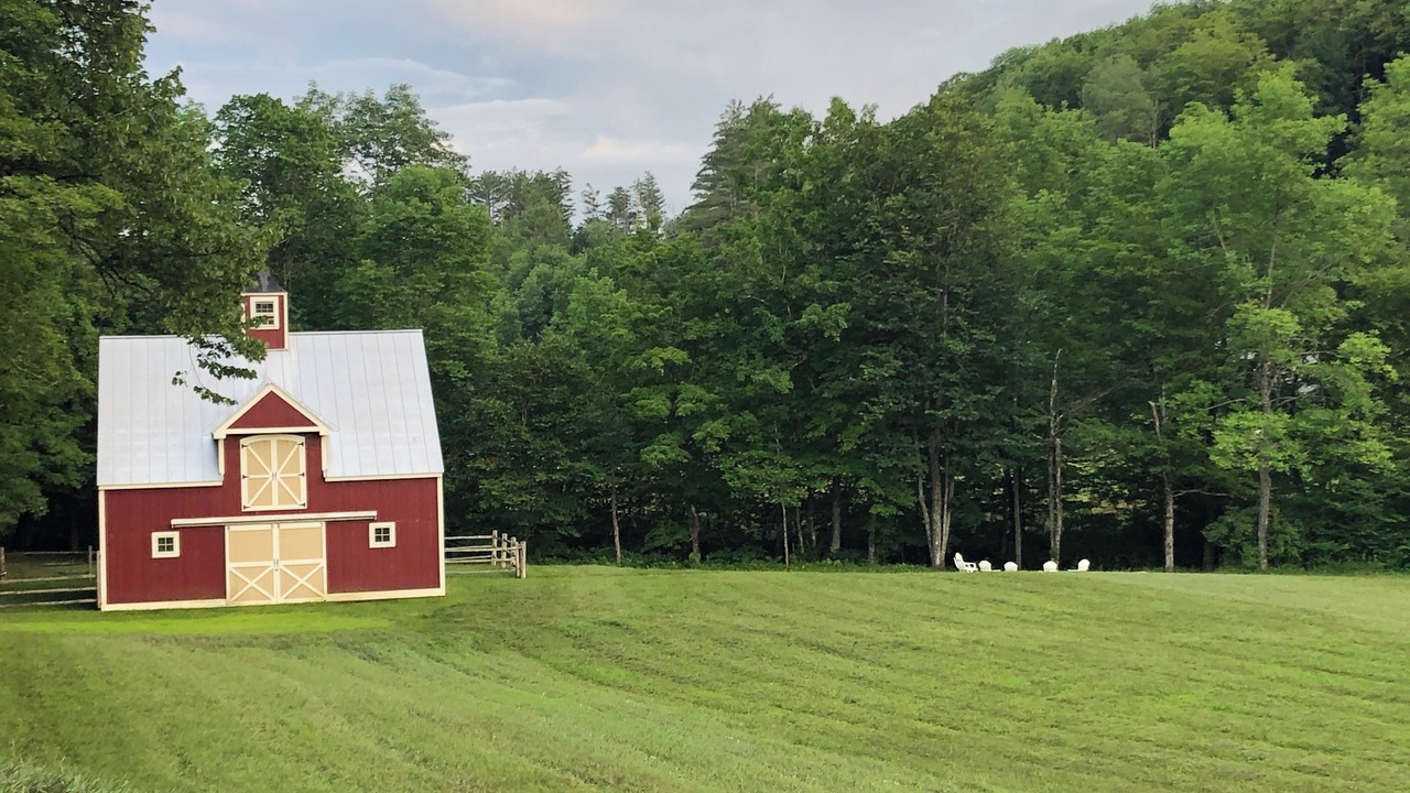 Photo of Outdoor in Woodstock