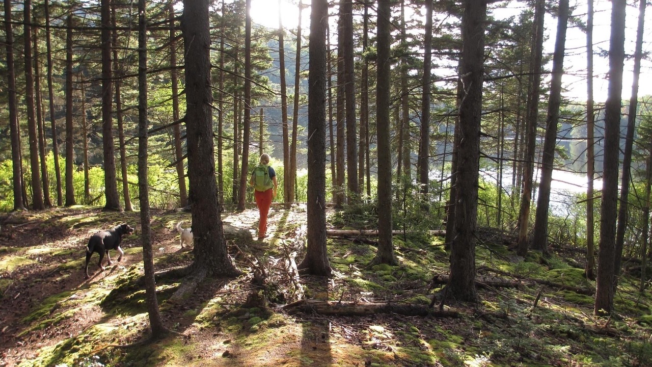 Photo of Others in North River
