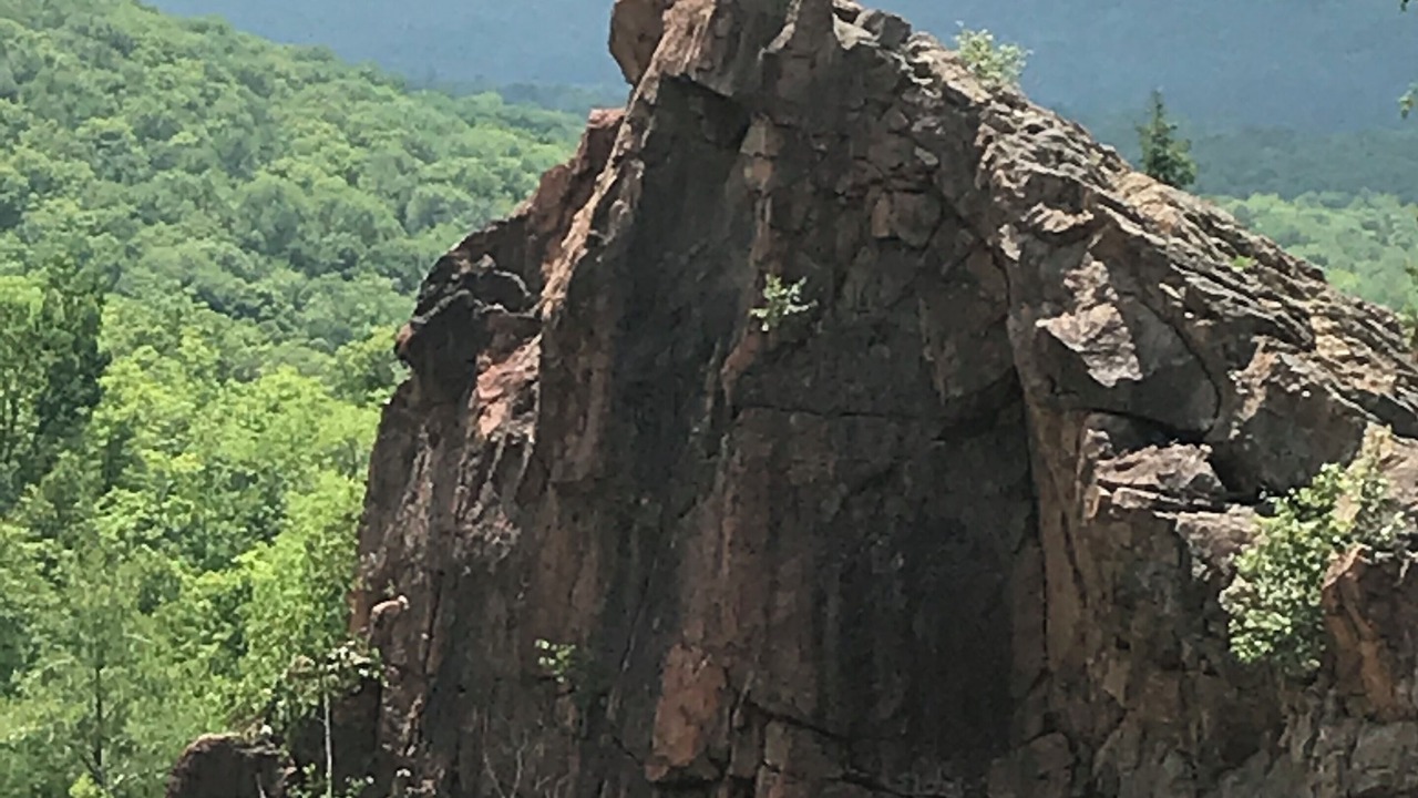 Photo of Others in North River