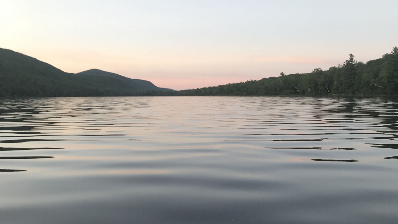 Photo of Others in North River