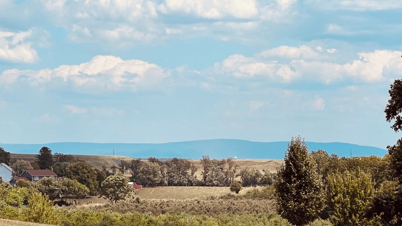 Photo of Others in Stephens City