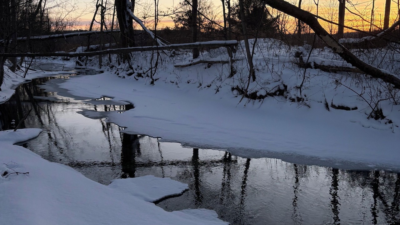 Photo of Others in Hinesburg