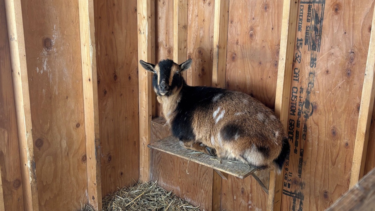 Photo of Others in Hinesburg