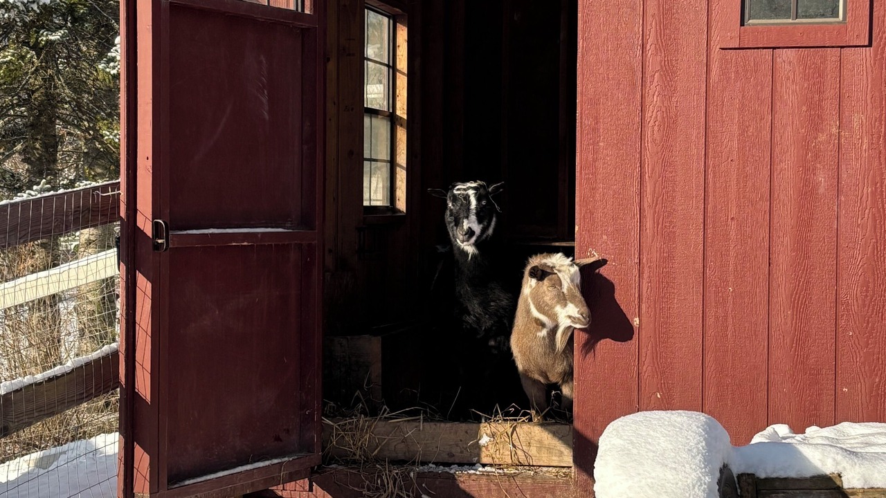 Photo of Outdoor in Hinesburg