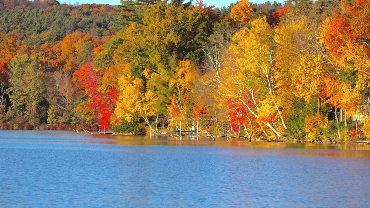 Photo of Others in Hubbardton