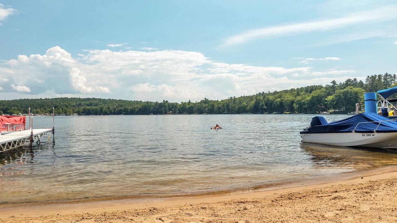 Photo of Others in Lochmere