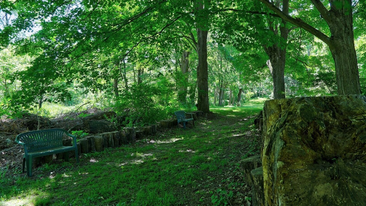Photo of Outdoor in Amenia