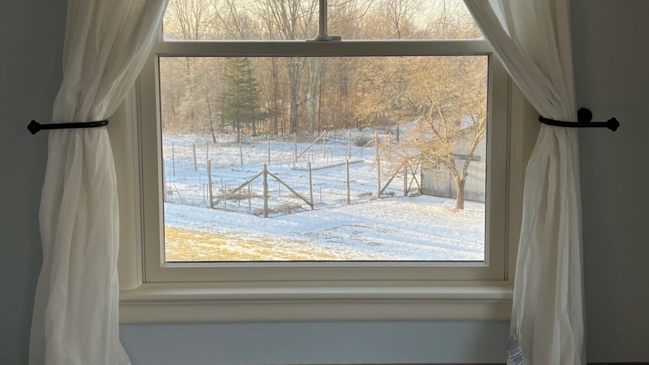 Photo of Others in New Paltz