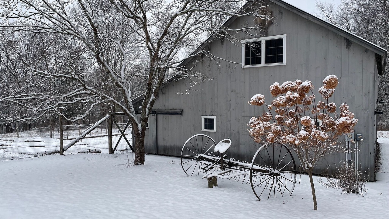 Photo of Others in New Paltz