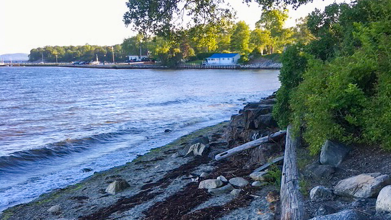 Photo of Others in Searsport