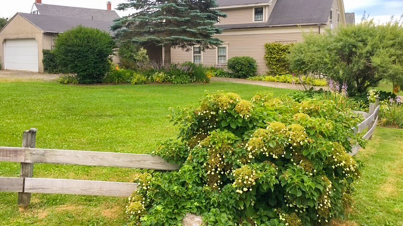Photo of Outdoor in Searsport