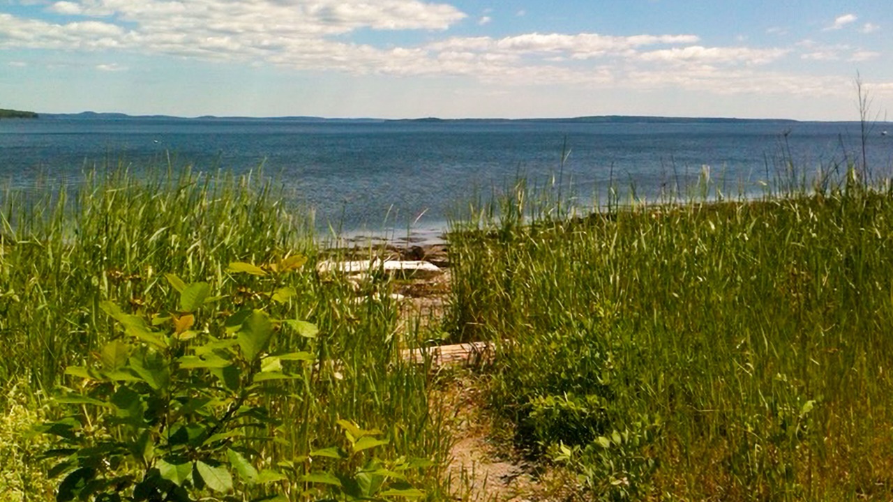 Photo of Others in Searsport