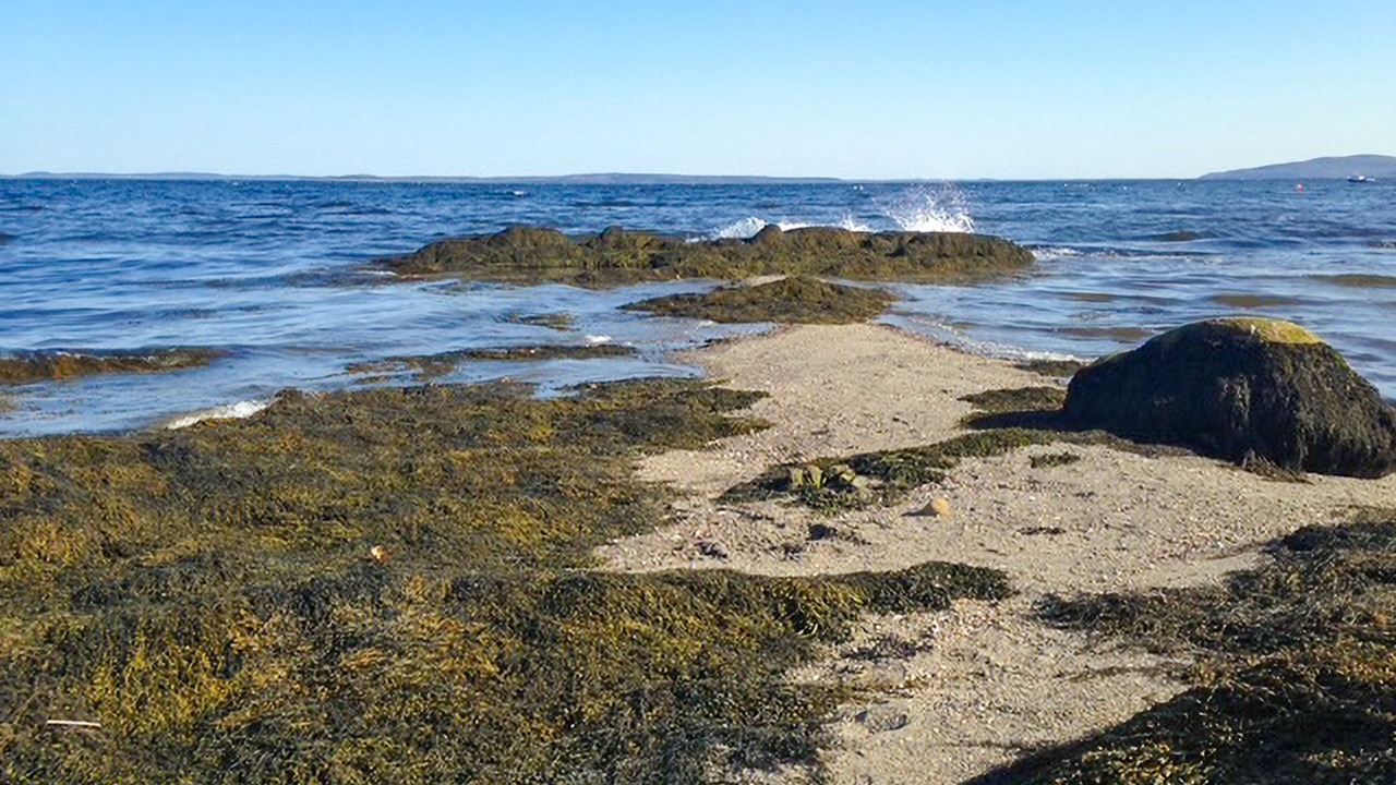Photo of Others in Searsport
