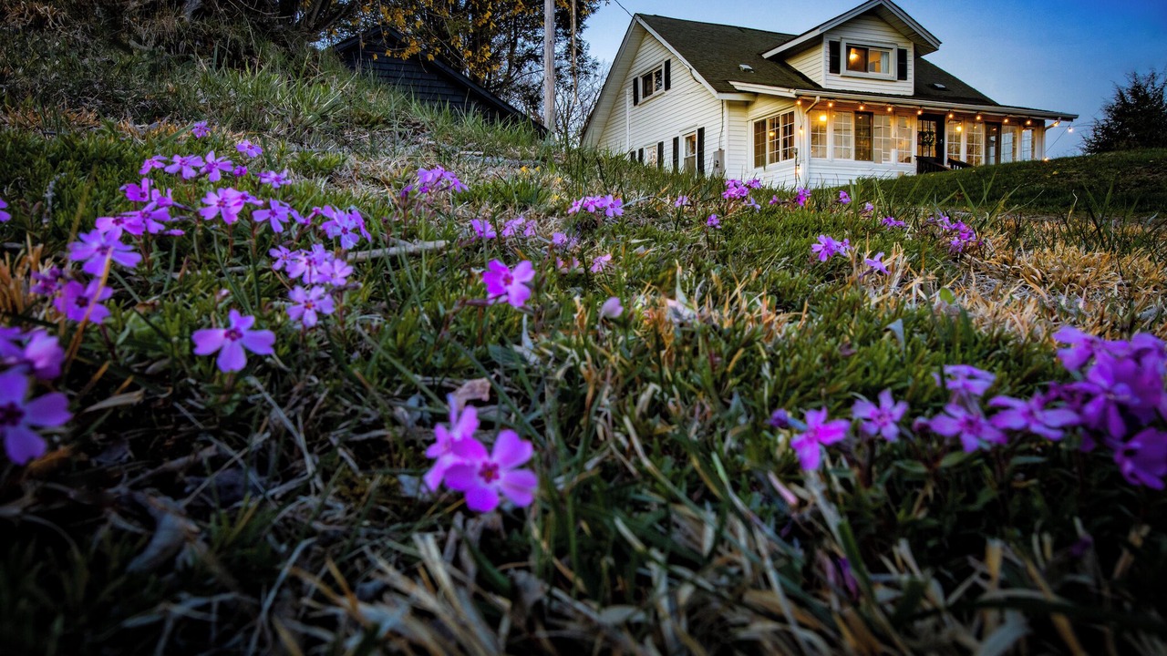 Photo of Outdoor in Hico