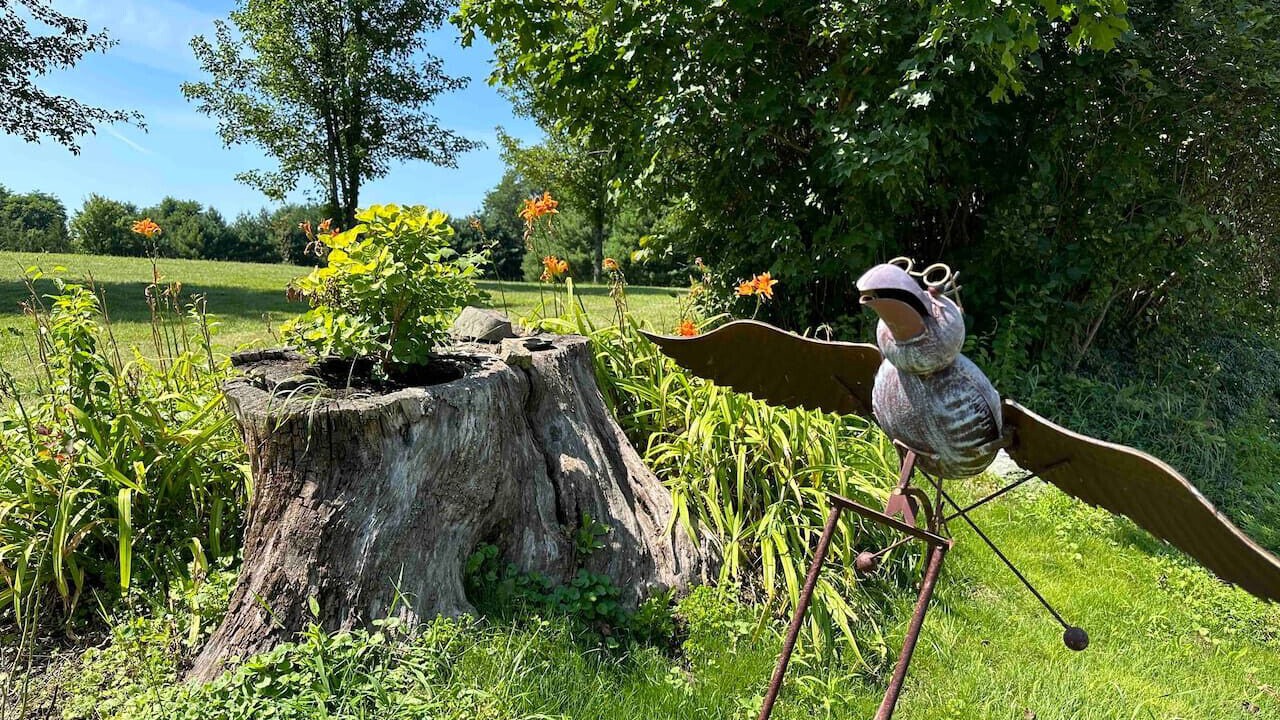Photo of Outdoor in Claverack-Red Mills