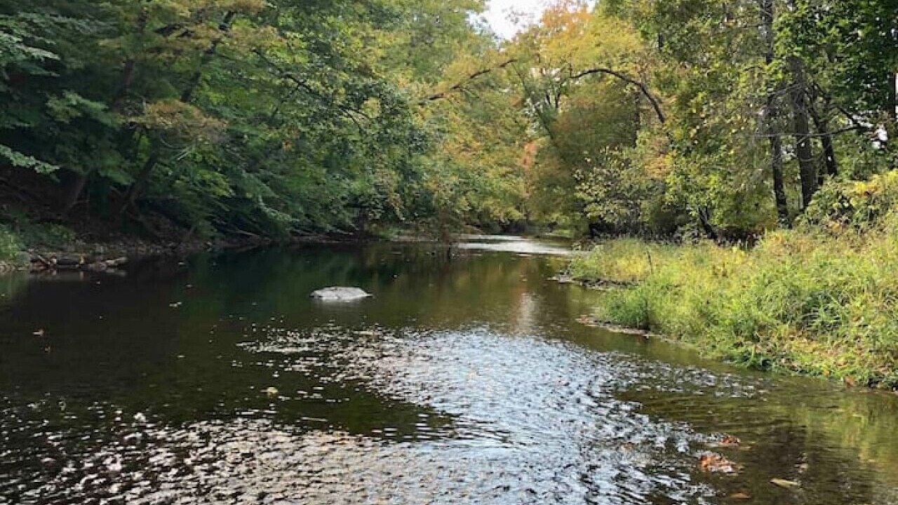 Photo of Others in Claverack-Red Mills