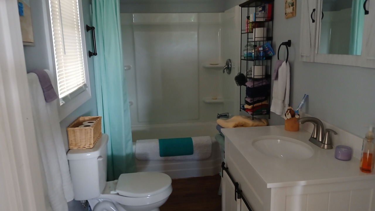 Photo of Bathroom in Mount Airy