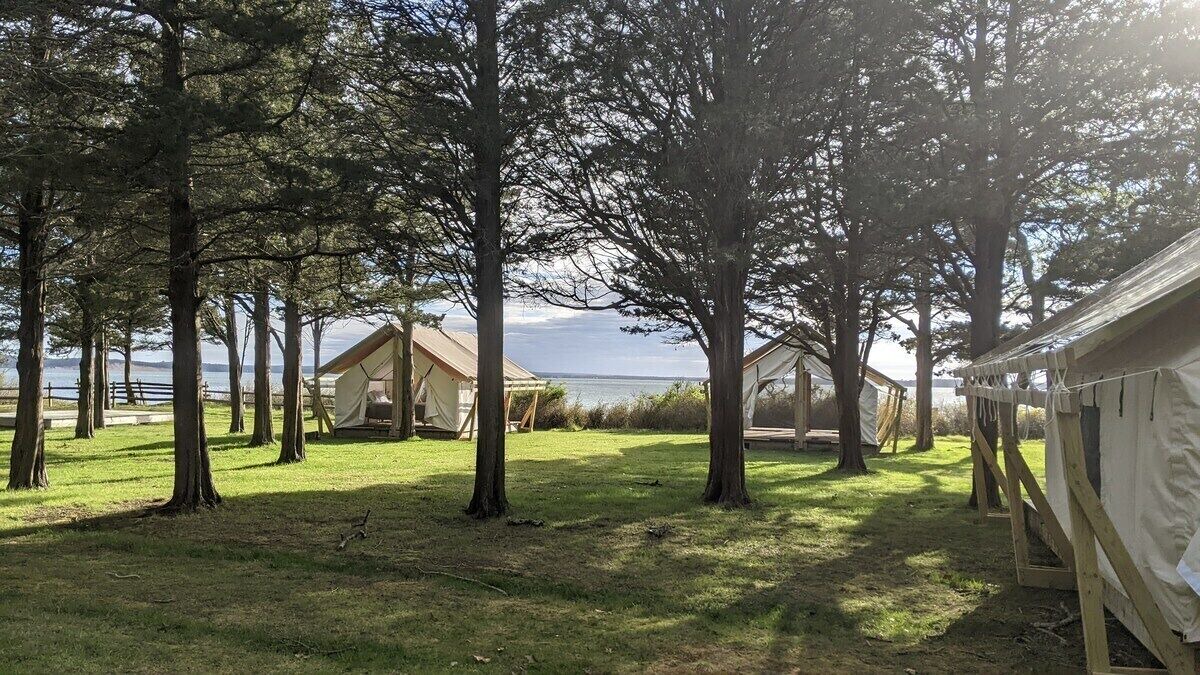 Photo of Outdoor in East Hampton