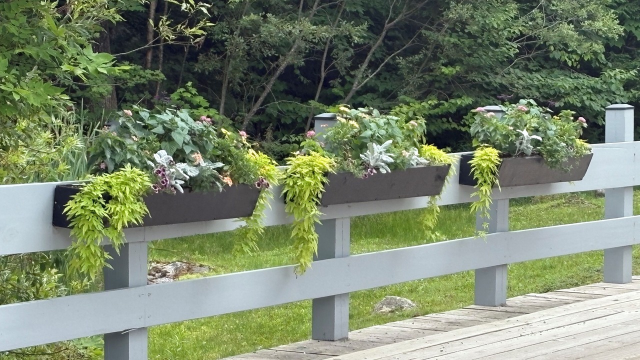 Photo of Outdoor in Killington