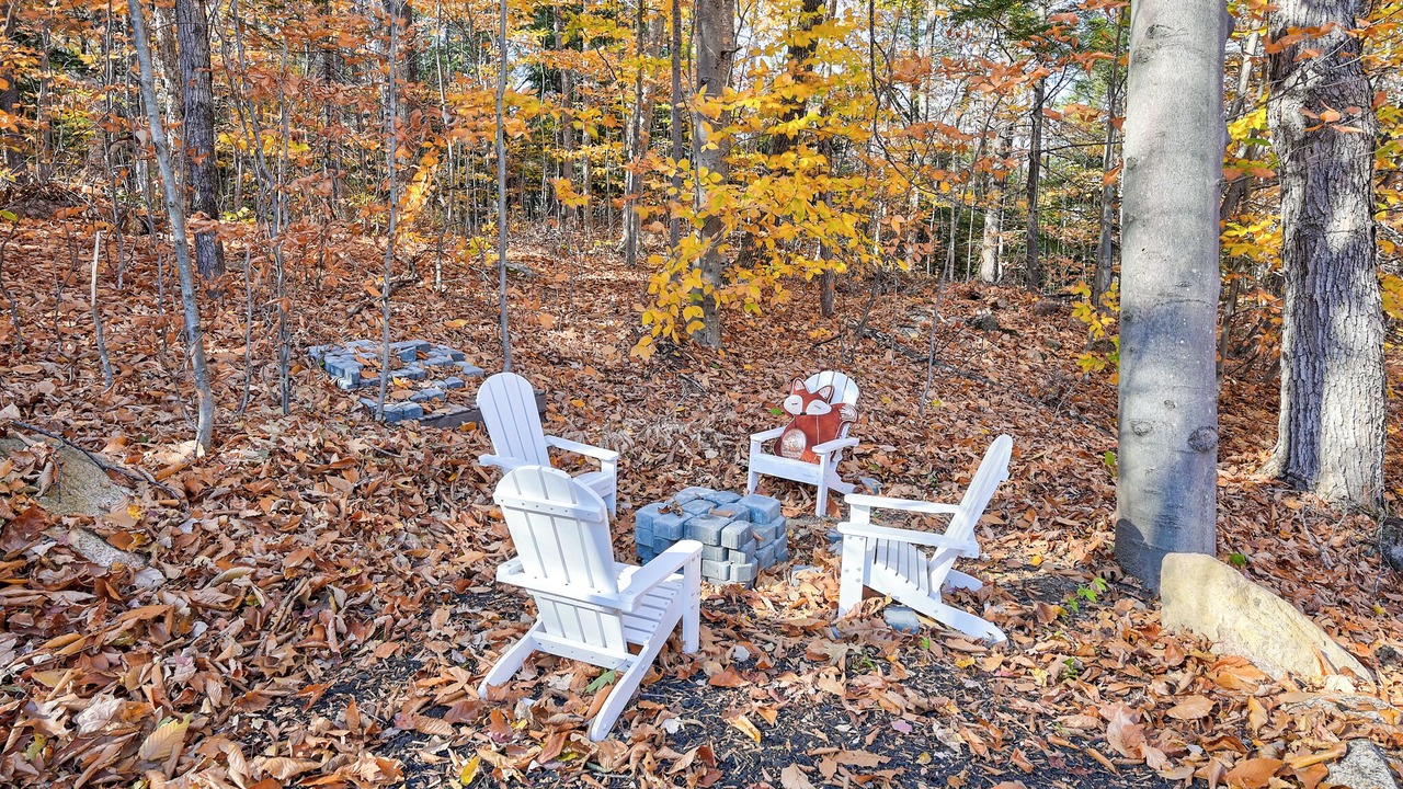 Photo of Outdoor in Bartlett
