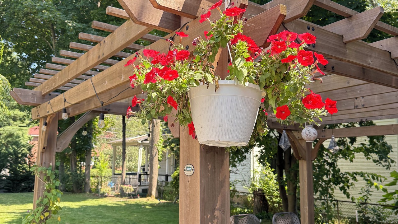 Photo of Outdoor in West Newton