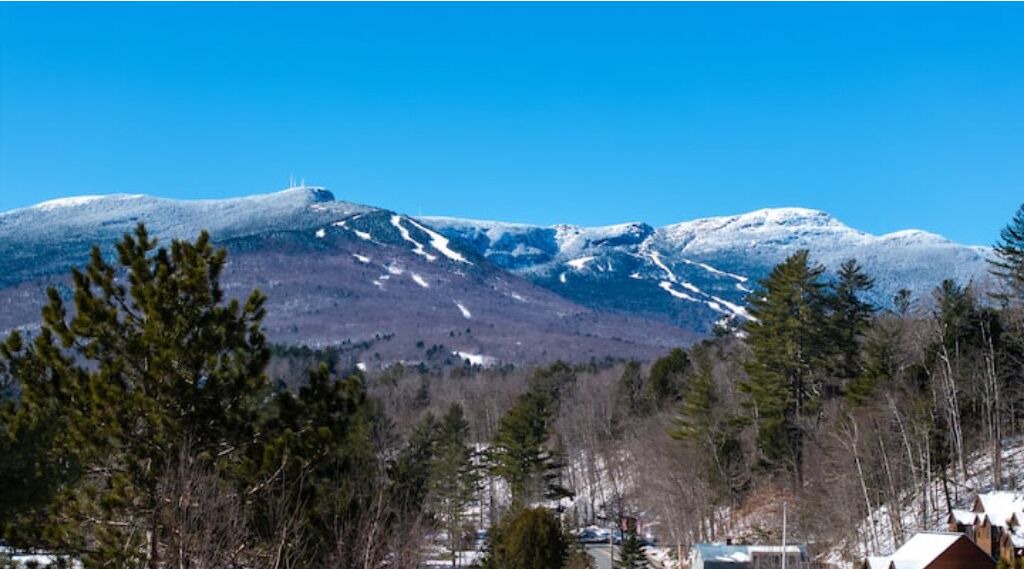 Photo of Others in Hinesburg