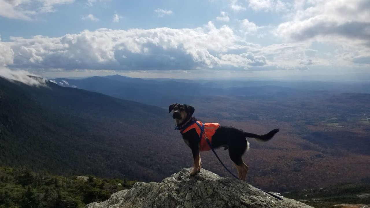 Photo of Outdoor in Hinesburg