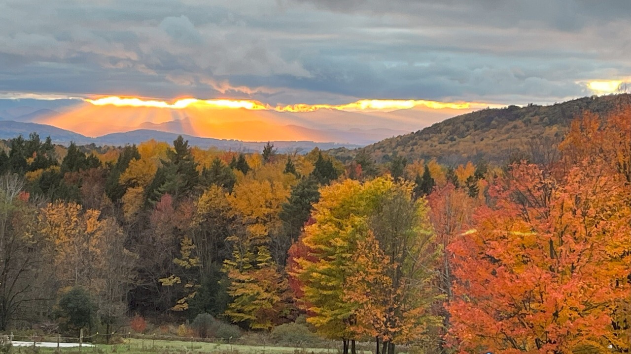 Photo of Others in Hinesburg