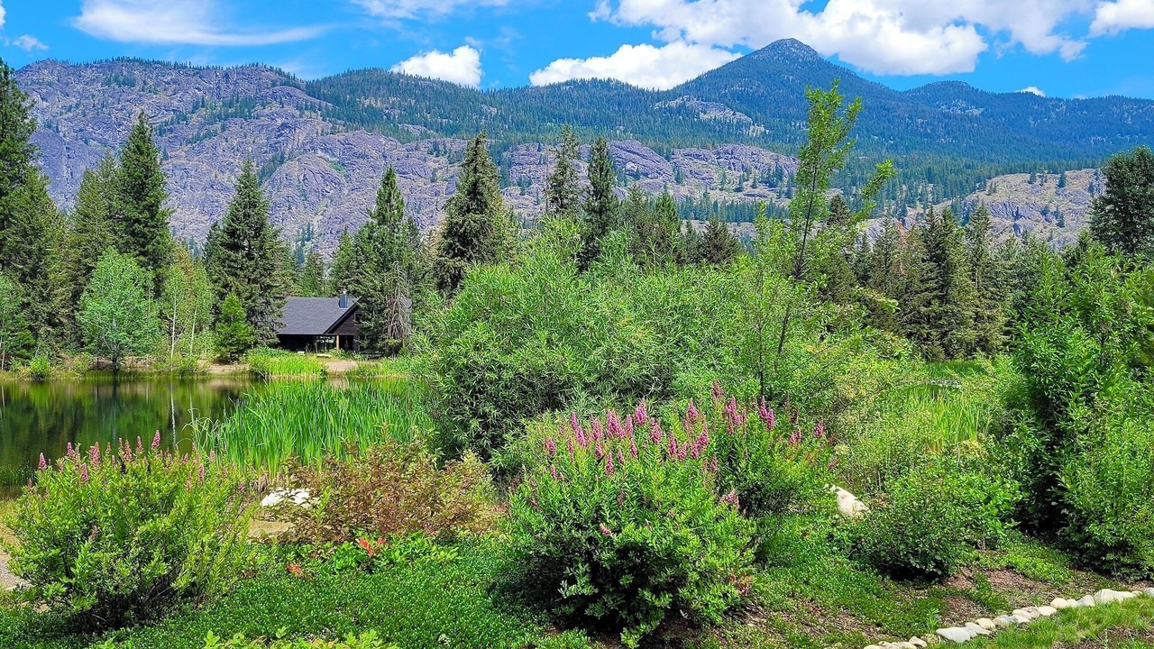 Photo of Outdoor in Mazama