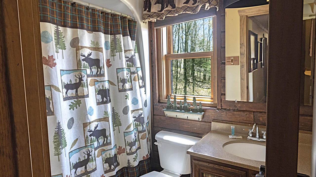 Photo of Bathroom in Snowshoe