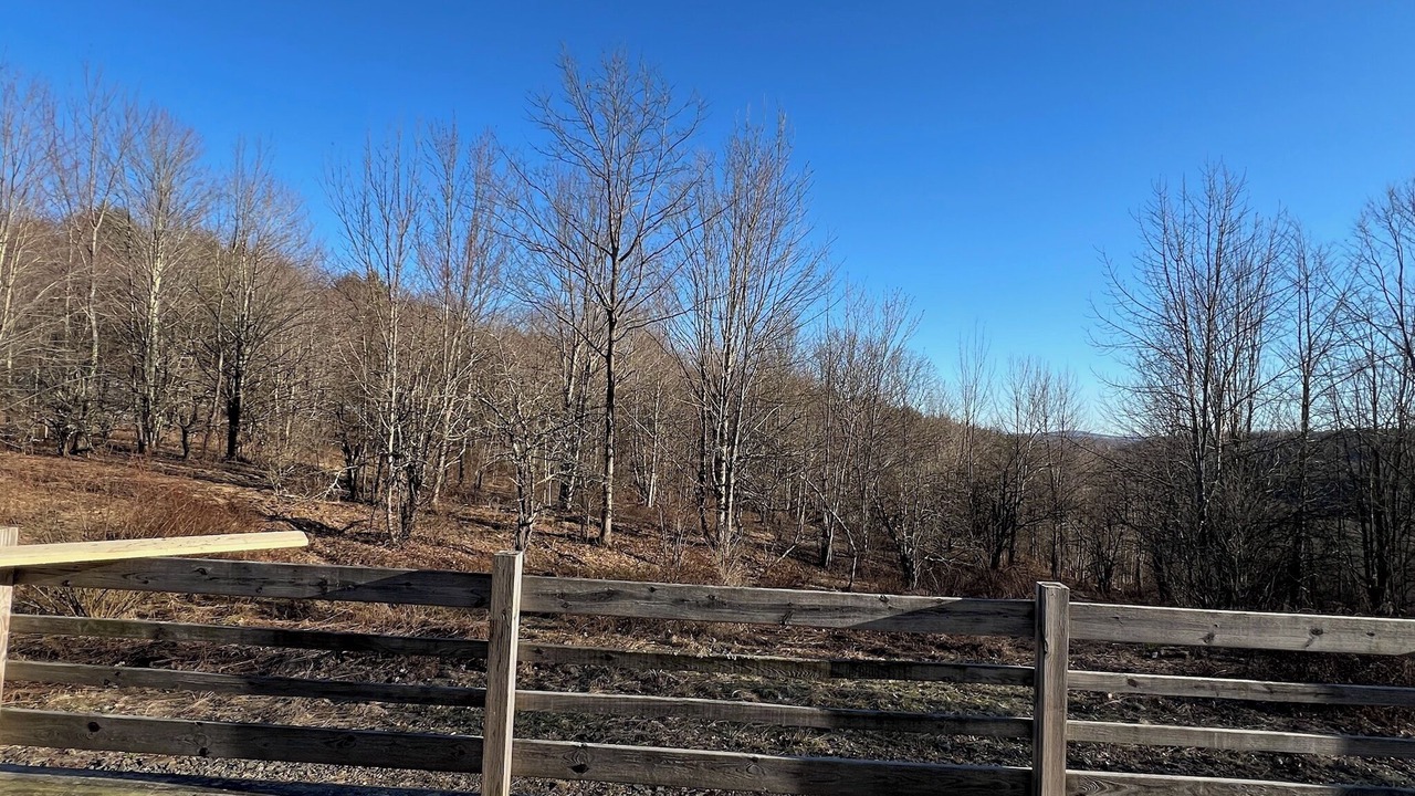 Photo of Outdoor in Worcester