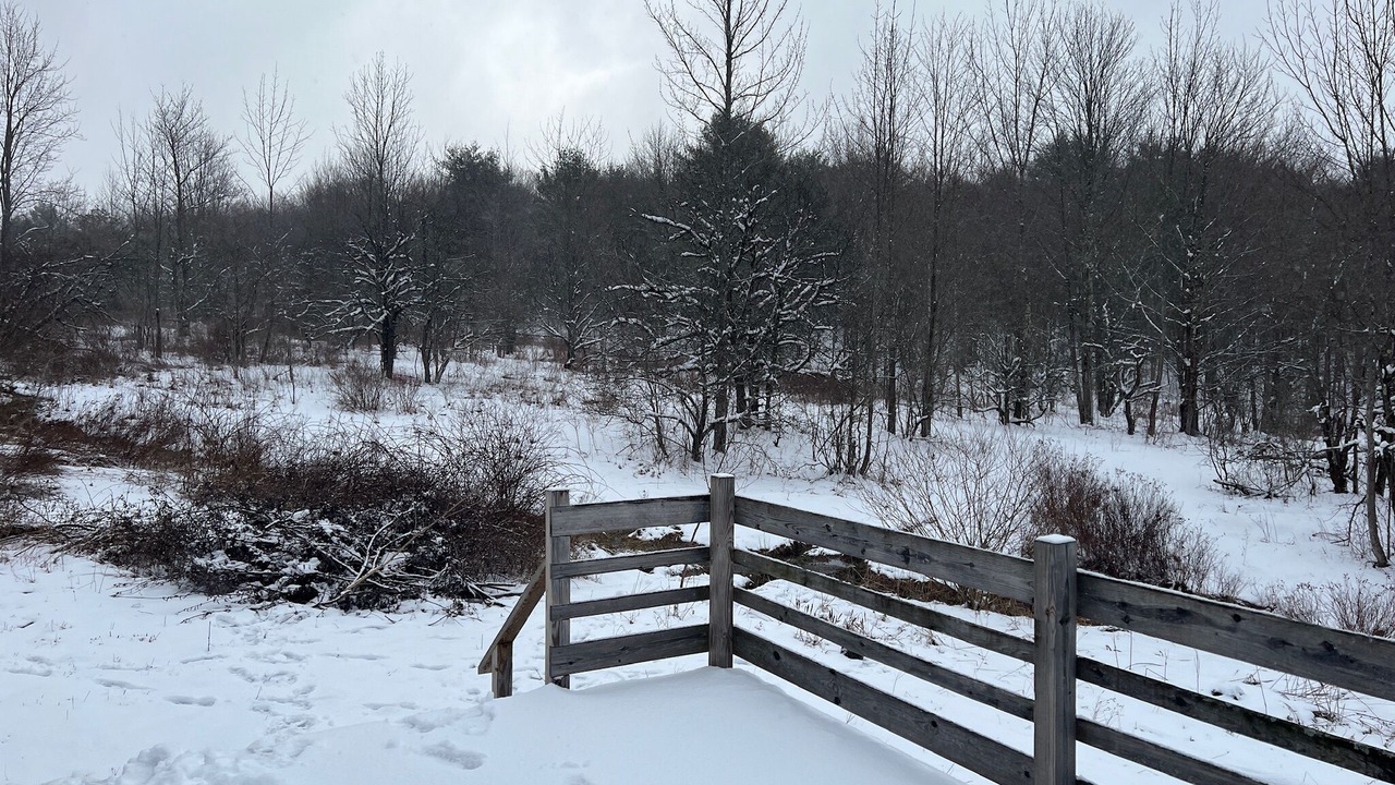 Photo of Outdoor in Worcester