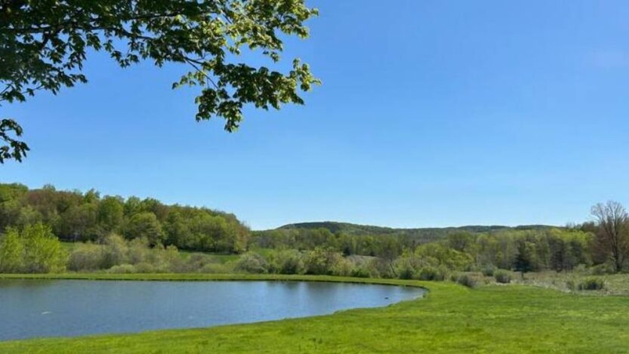 Photo of Others in Sabinsville