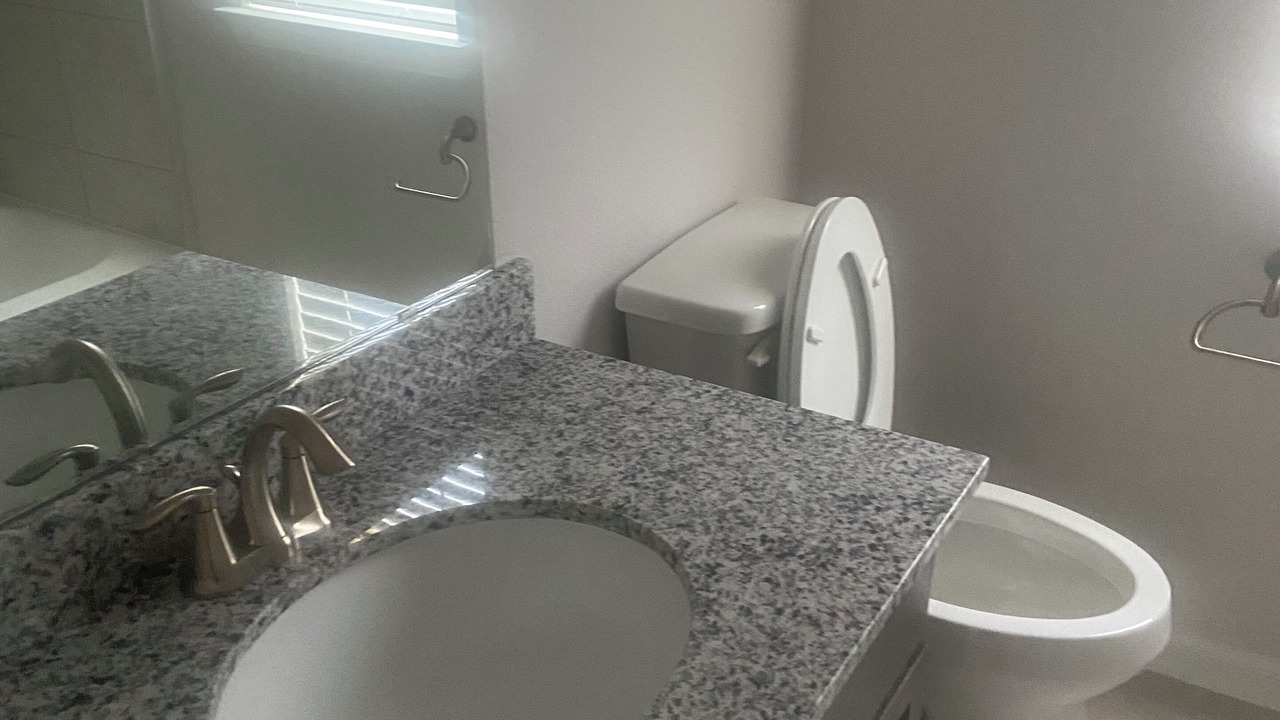Photo of Bathroom in Iowa Colony