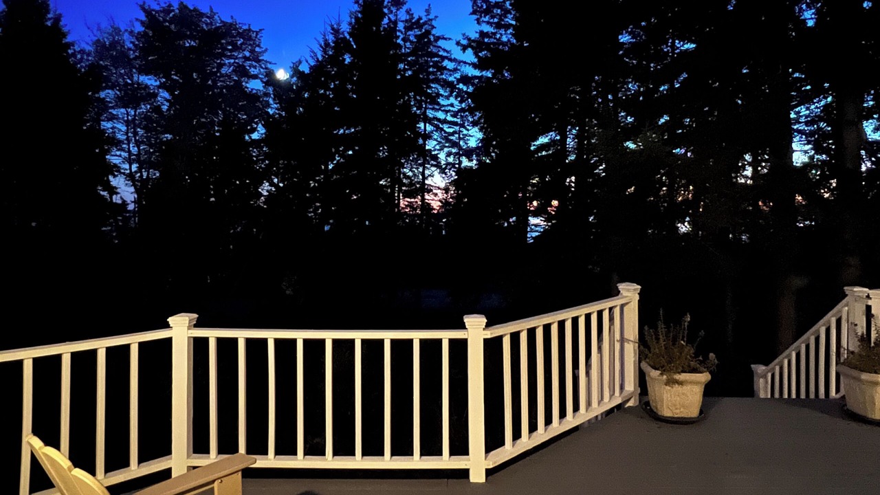 Photo of Outdoor in Brooksville
