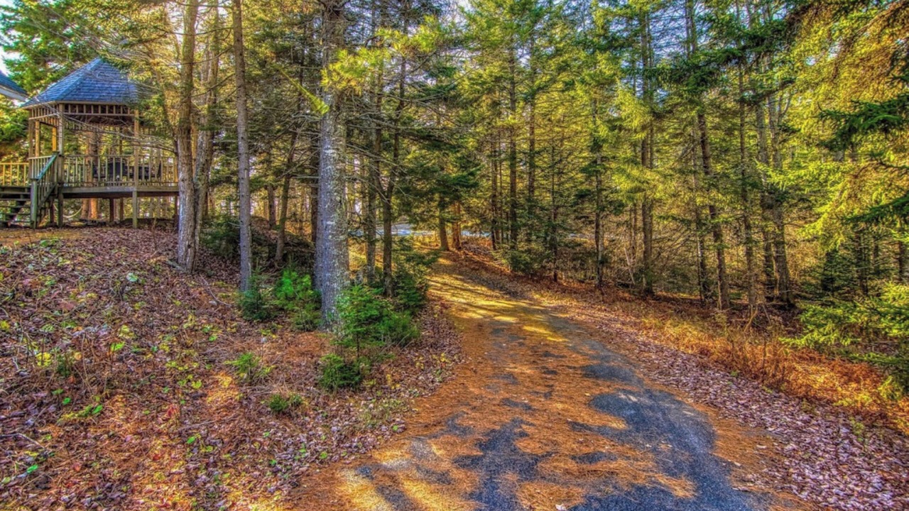 Photo of Outdoor in Brooksville
